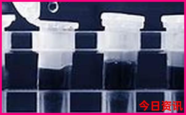电白哪里好玩的景点